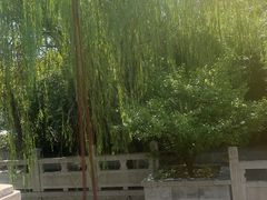 -吴越荣记苏州菜·松鼠桂鱼100%活鱼现做(斜塘老街店)
