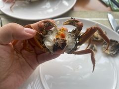 -视界美食自助餐厅·石家庄希尔顿酒店