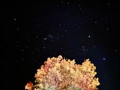 -莫纳克亚山天文台