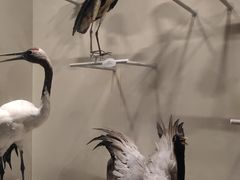 -中国湿地博物馆