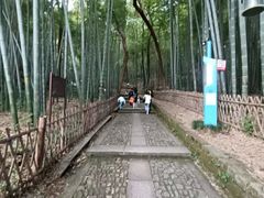 -杭州黄龙洞