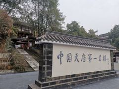 -黄龙溪古镇