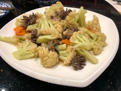-丰食农家乐