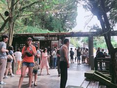 -金盆阿嬷香菇茶叶蛋(玄光店)