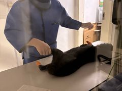 -申普宠物医院·眼科·心内科·影像科(普陀分院)