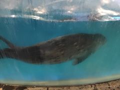 -锦艺城海洋馆