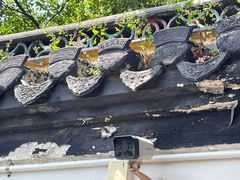 -狼山风景名胜区