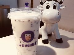 -一只酸奶牛(八一路店)