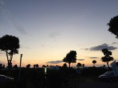 -明珠湖天鹅苑·农家菜馆