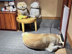 -大江户·温泉洗浴(浑南店)