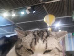 -小时光咖啡馆(开森度假森林店)