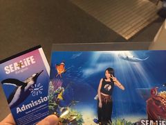 -暹罗海洋世界