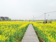 -乌龙涧铁道铁轨景