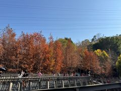 -福道