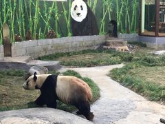 -南昌动物园