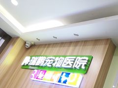 -瑞鹏宠物医院·猫科·宠保定点(梅溪湖分院)