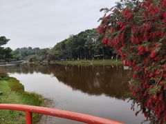-东莞植物园