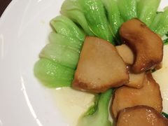 -张生记(丁香国际店)