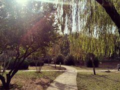 -堤角公园