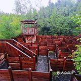 路过迷宫，试探性的进去看了