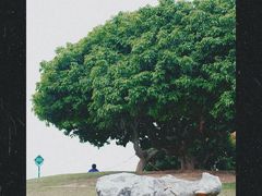 -红花山公园