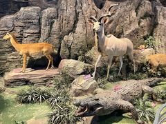 -陕西自然博物馆