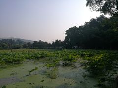 -韶山毛泽东同志故居