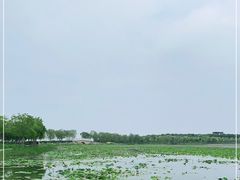 -天津东丽湖风景区