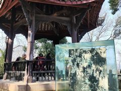 -子昂故里文化旅游区