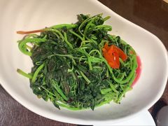清炒苋菜-刘胖子家常菜·蹄花焖藕(中央花园店)