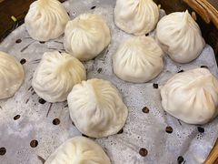鲜肉小笼-大龙汤包