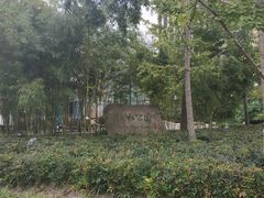 -活水公园