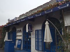 -Sirena海妖日咖夜酒