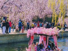 -元大都城垣遗址公园