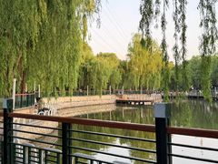 -黛秀湖公园