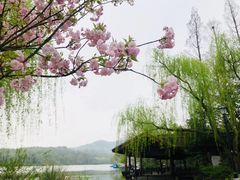 -茅家埠