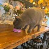 爽朗可口,祝店家生意兴隆!