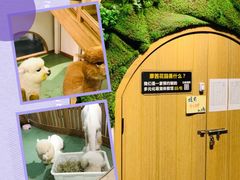 -藦茜花园宠物主题亲子互动体验馆(国顺东路店)