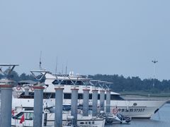 -日照世帆赛基地