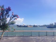 -深圳湾公园(南山区)