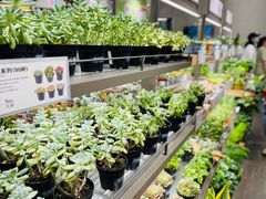 -鹿岛会员店(熙地港店)