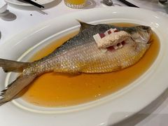清蒸鲥鱼-福1039(愚园路店)