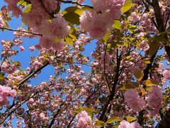 -苏州河梦清园环保主题公园