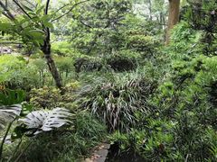 -南山植物园