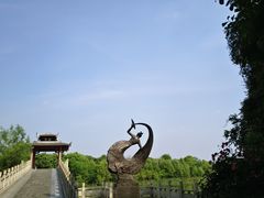 -东湖落雁景区
