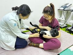 -美联众合动物医院·24h转诊中心