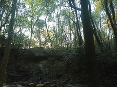 -上海佘山国家森林公园天马山园