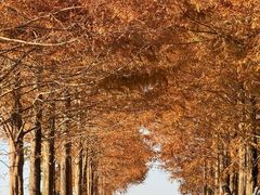 -泽雅七瀑涧景区