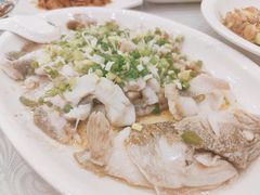 香葱淋鲈鱼-粤·向群饭店(龙津东路总店)