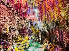 -正佳雨林生态植物园